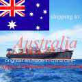 Fornecedor de Logística Marítimo Marítimo Frete Remetente De Carga Da China para a Austrália